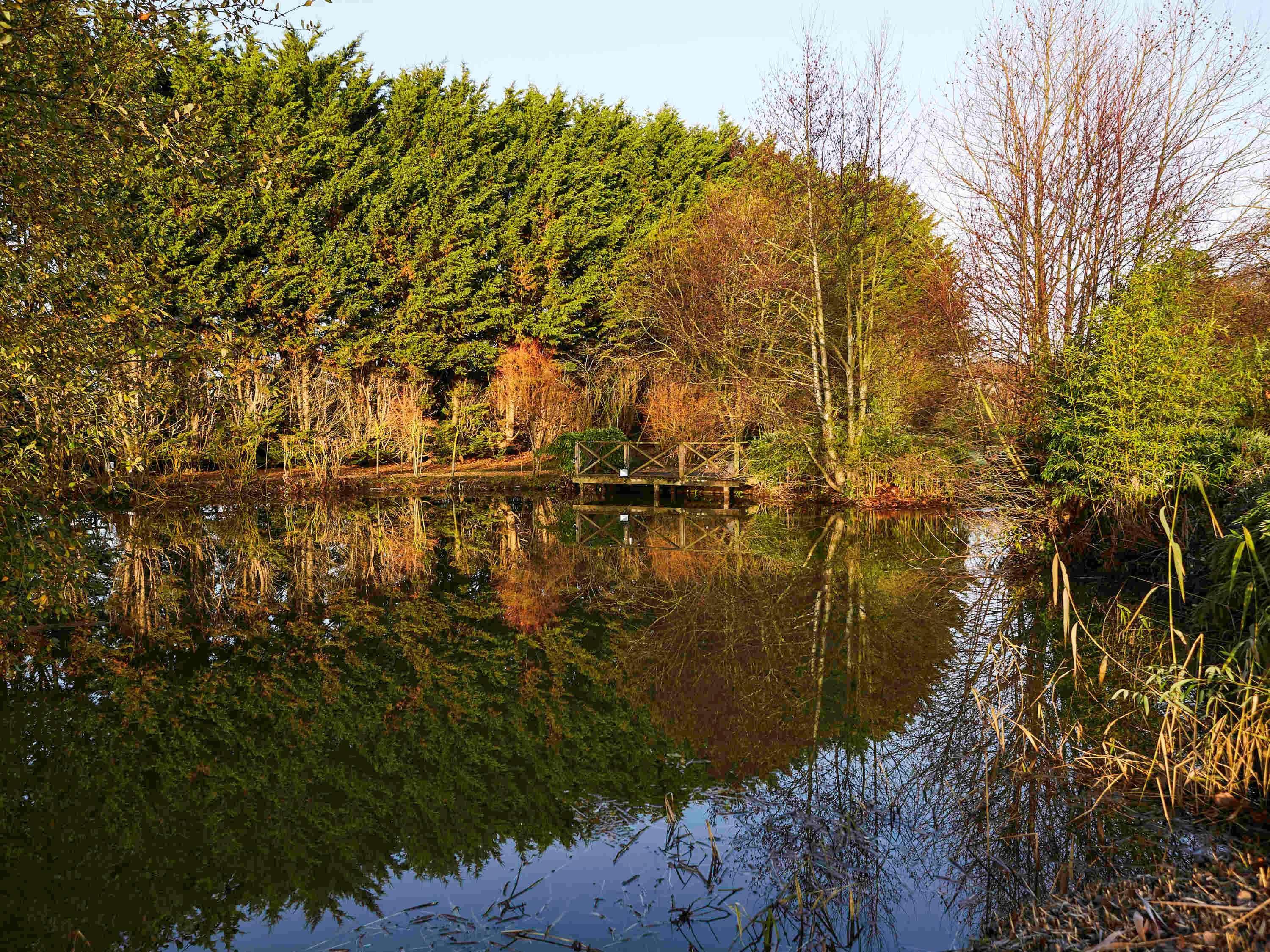 Mercure Newbury West Grange Hotel Thatcham Εξωτερικό φωτογραφία
